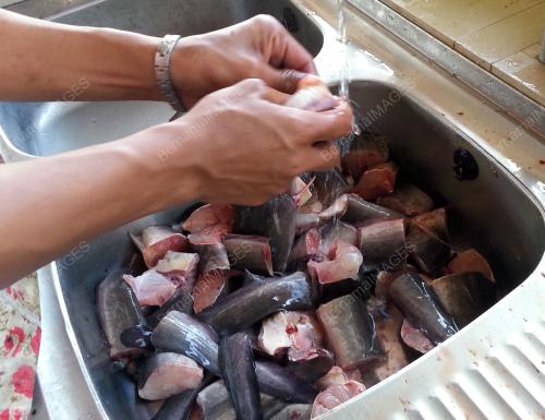 FEA03_06032015_ASAM_PEDAS