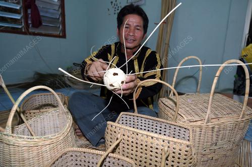 FEA03_09082018_ROTAN_KOTA_BELUD