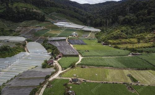 FEA03_10042019_PEKEBUN
