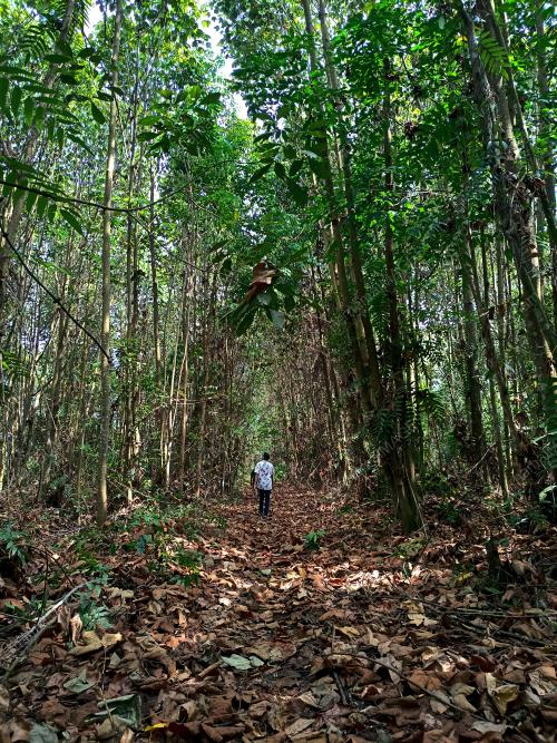 HUTAN SIMPAN KUALA LANGAT UTARA