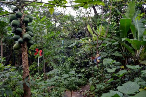 FEA03_15012016_TAMAN