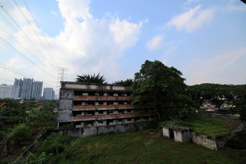 FLAT USANG