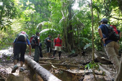 FEA03_16112017_GUNUNG_DATUK