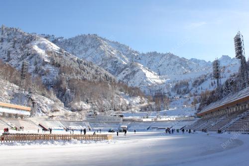 FEA03_17012014_KAZAKH
