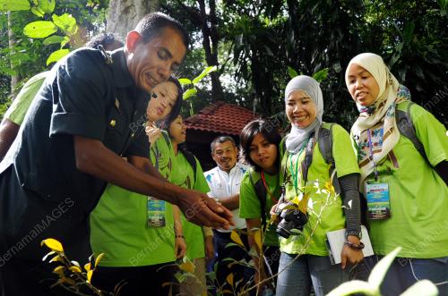 FEA03_17072014_HERBA