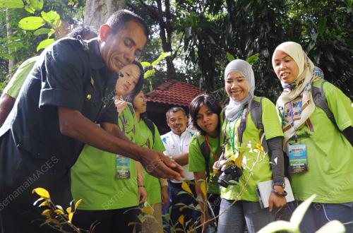 FEA03_19072014_MISAL_KUCING
