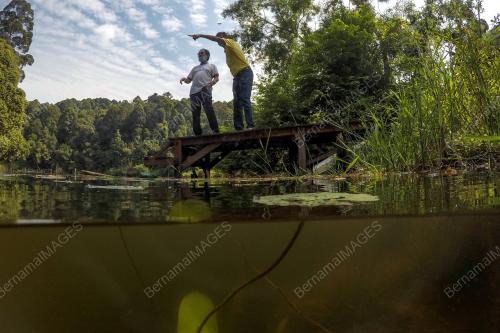 HUTAN DIGONDOLKAN UNTUK PEMBANGUNAN