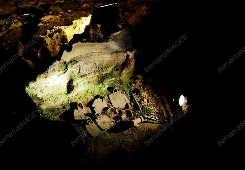 FEA03_23052015_GUA_TEMPURUNG