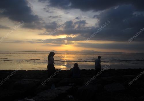 FEA03_25022015_PANTAI