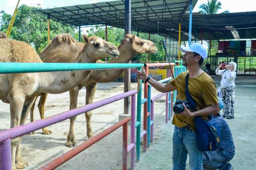 FAMTRIP MAJESTIC JOHOR