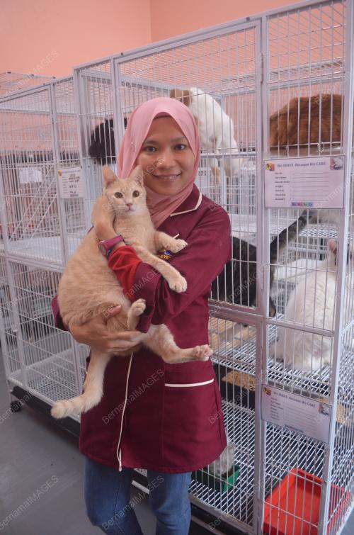 JUALAN UBAT VETERINAR DALAM TALIAN MEMBIMBANGKAN