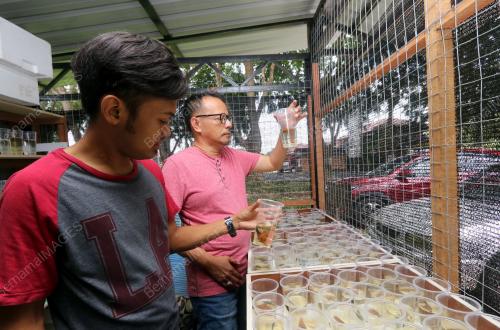 FEA03_26112018_IKAN_BETTA