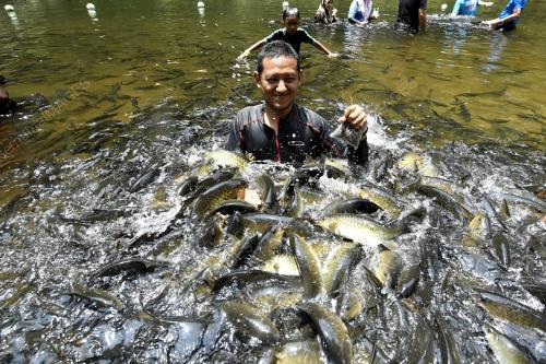 FEA03_26112019_TASIK_KENYIR