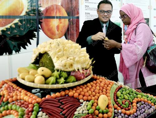 FEA03_26122012_BUAH_BUAHAN