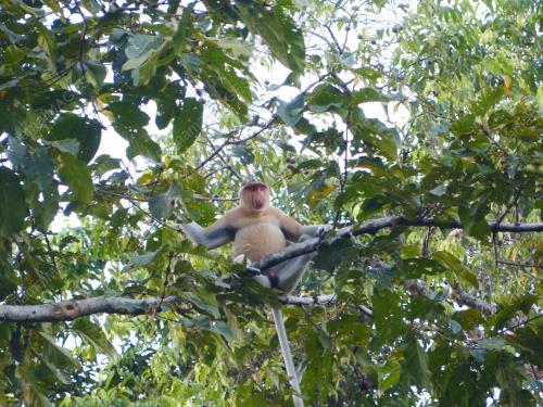 FEA03_28042016_SANTAI
