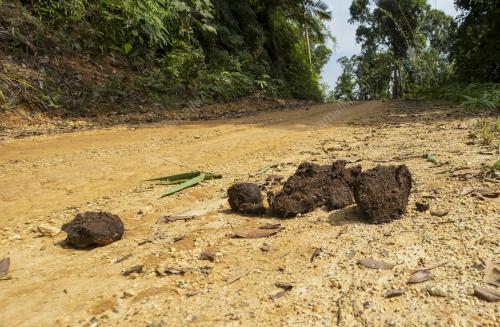 PENDIDIKAN ORANG ASLI