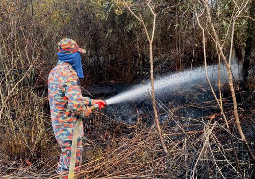 KEBAKARAN HUTAN TANAH GAMBUT DI ROMPIN