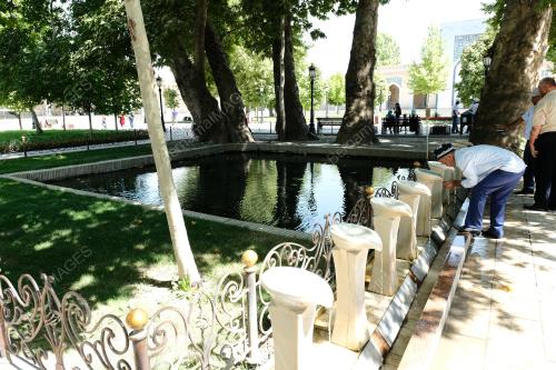 SHARQ TARONALARI