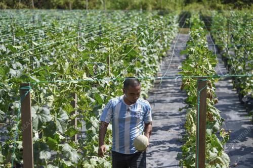 FEA04_03042019_PETANI