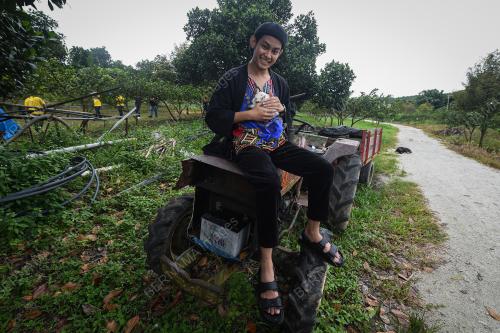 LABIS SUNRISE FARM