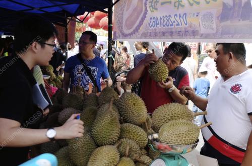 FEA04_06082018_DURIAN
