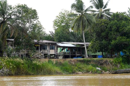 FEA04_07112019_GAJAH_BORNEO