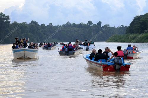 FEA04_08112019_GAJAH_BORNEO