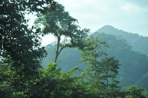 FEA04_09052012_IMBAK