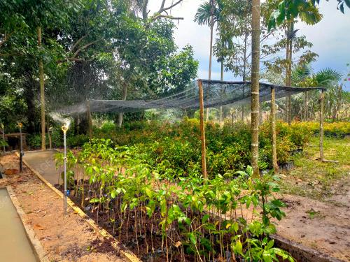 HUTAN SIMPAN KUALA LANGAT UTARA