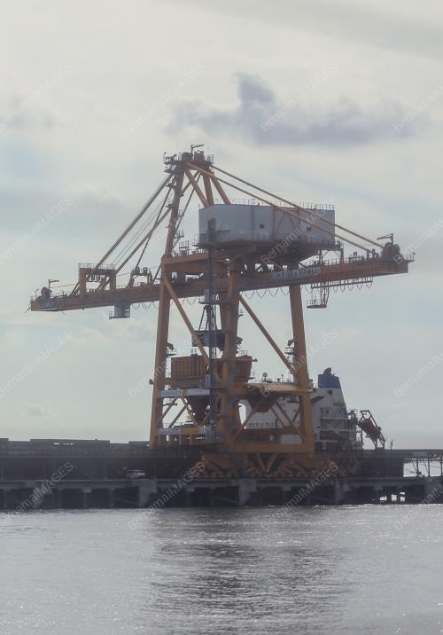 INTEGREX JANAMANJUNG