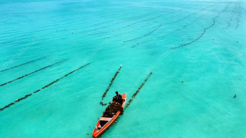 RUMPAI LAUT
