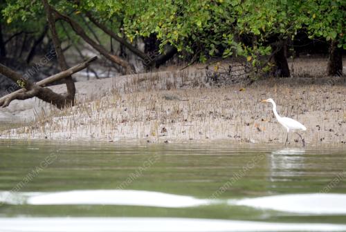 FEA04_19052015_RAMSAR