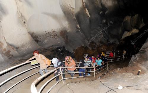 FEA04_23052015_GUA_TEMPURUNG