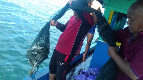FEA04_27082018_PANAU