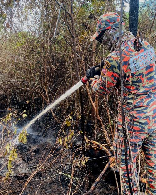 KEBAKARAN HUTAN TANAH GAMBUT DI ROMPIN