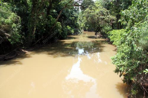 FEA04_31072015_SUNGAI_TEMBELING