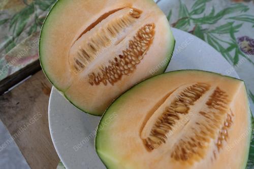 FEA05_03042019_PETANI