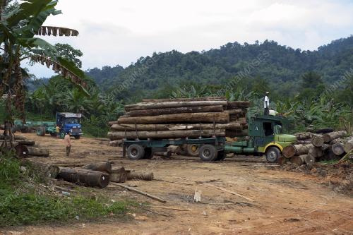 FEA05_04032015_PEMBALAKAN