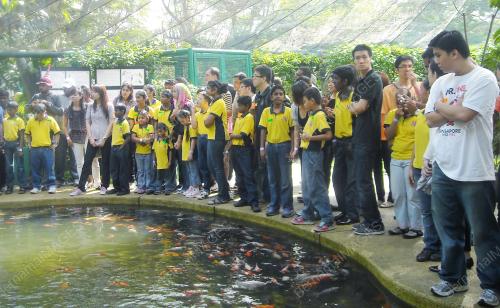FEA05_05012012_JOY_AND_FUN