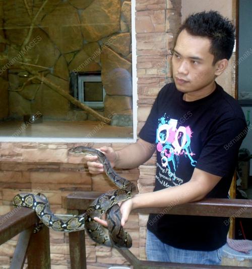 FEA05_12072012_TAMAN_ULAR