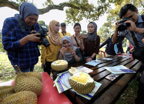 FEA05_16072019_DURIAN