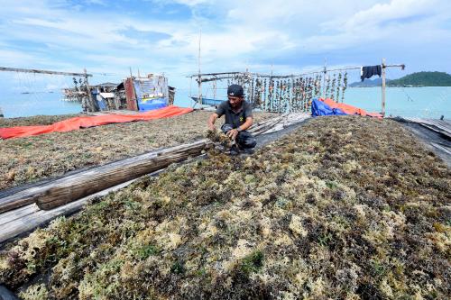 RUMPAI LAUT