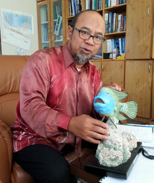 FEA05_18112015_TAMAN_LAUT