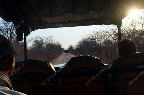 FEA05_20112012_ZIMBABWE