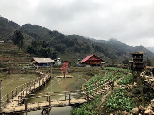 FEA05_21032019_KEMBARA