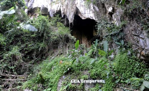 FEA05_23052015_GUA_TEMPURUNG