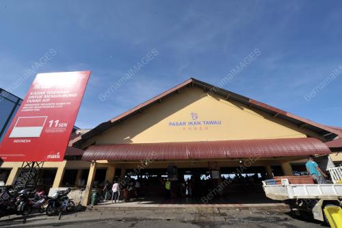 FEA05_24122013_TAWAU_CANTIK_2