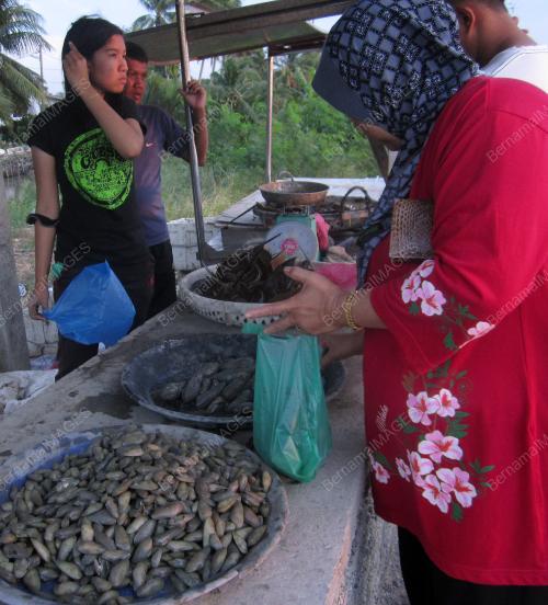 FEA05_25022015_PANTAI