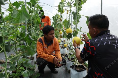 CHERANG_MELON