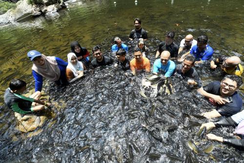 FEA05_26112019_TASIK_KENYIR